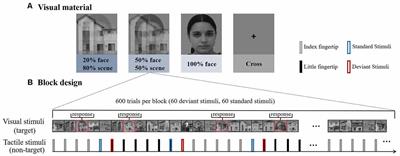 Effects of Visual Attentional Load on the Tactile Sensory Memory Indexed by Somatosensory Mismatch Negativity